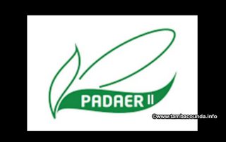 padaer-320x202-1